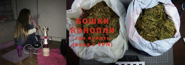 индика Абаза