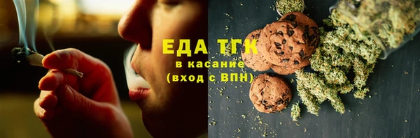 индика Абаза
