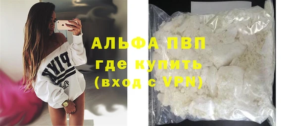 индика Абаза