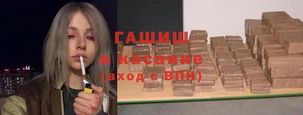 индика Абаза