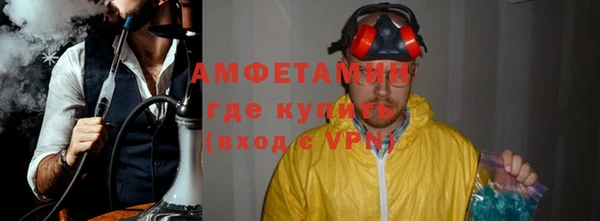 индика Абаза