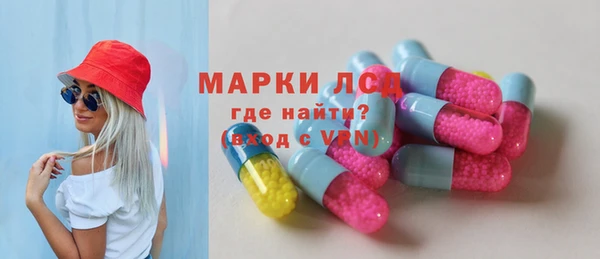 индика Абаза