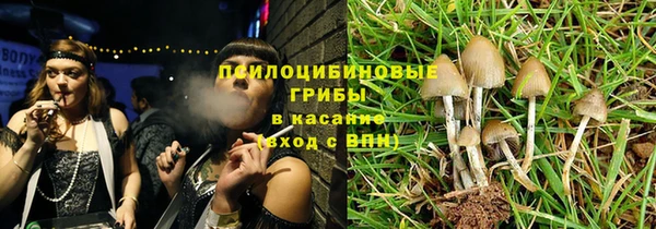 индика Абаза