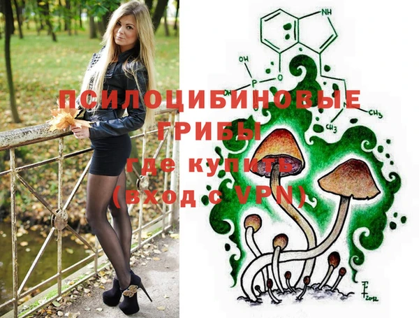 индика Абаза