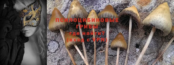 гидропоника Абдулино