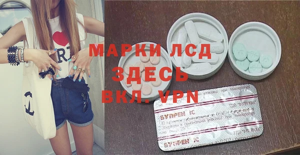 индика Абаза