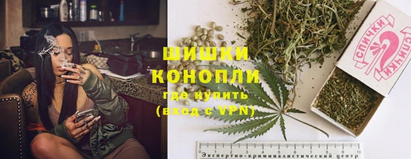 индика Абаза