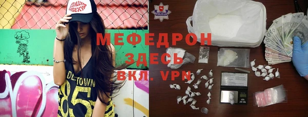 индика Абаза