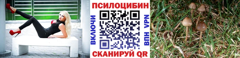 Галлюциногенные грибы мухоморы Новоалтайск