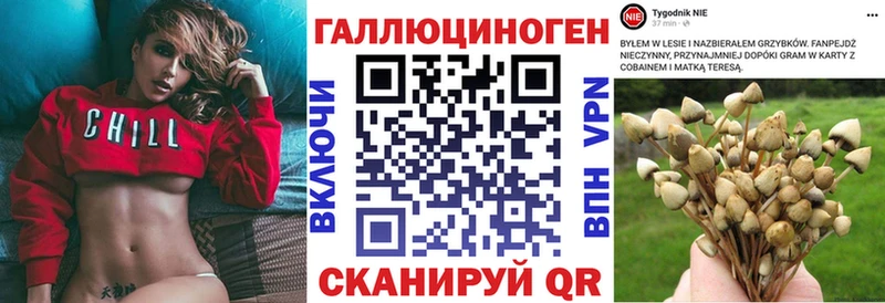 Галлюциногенные грибы GOLDEN TEACHER  цена   kraken ССЫЛКА  Новоалтайск 